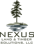 nexus-logo