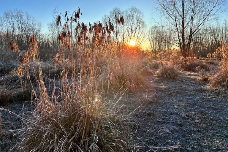 Comprehensive Land Management Expertise