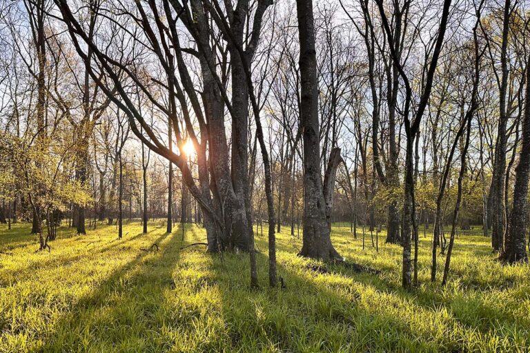 Sustainable Balanced Approach