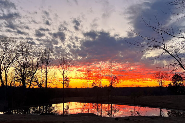 Sustainable Approach