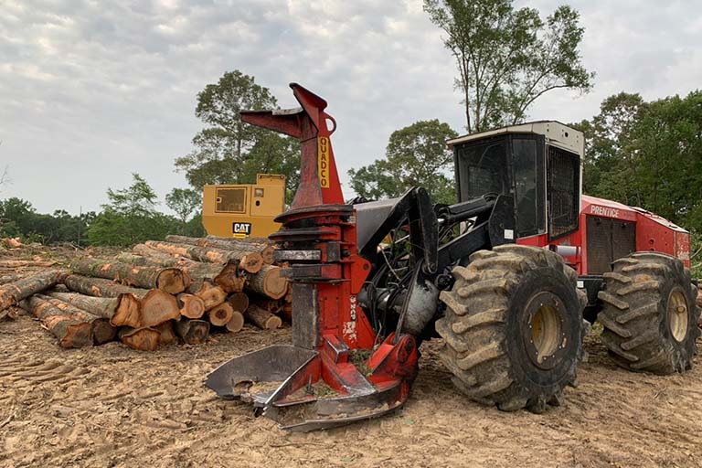 Timber Sale Preparation