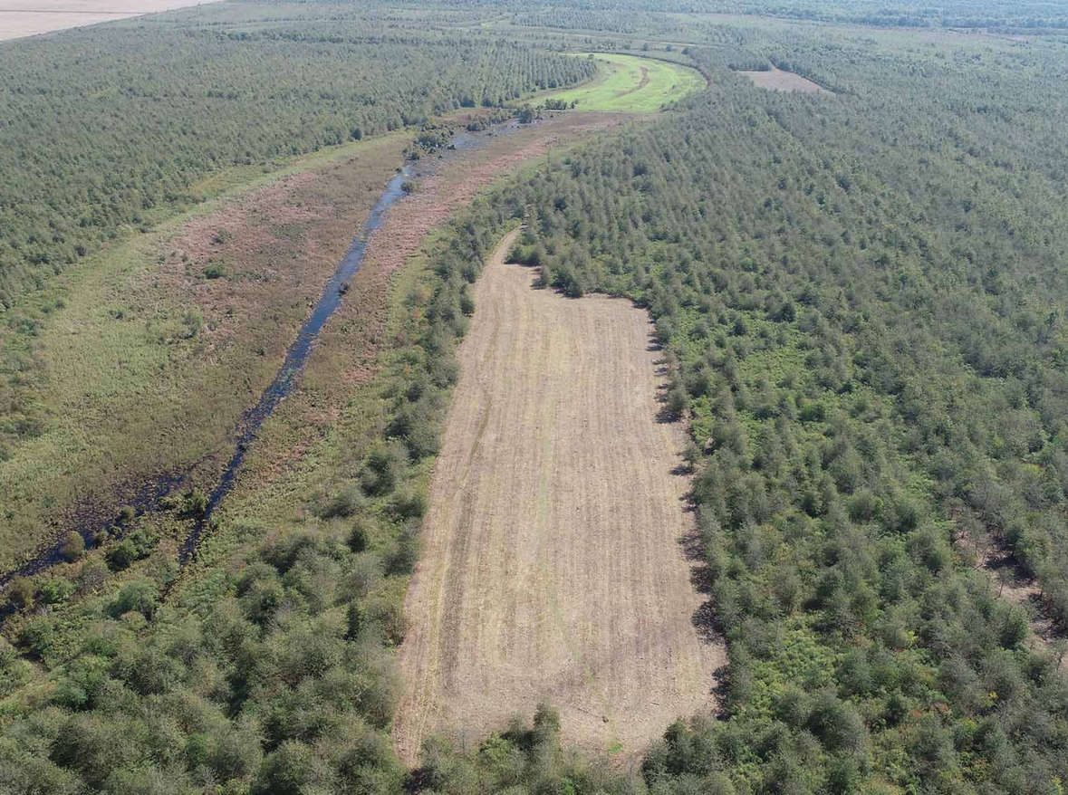 Forest Management Planning Nexus Land