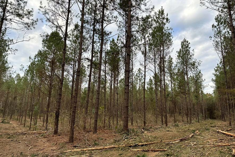 Time and Equipment Nexus Land